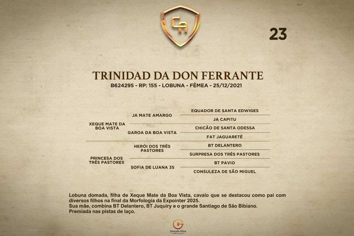Geração TRINIDAD DA DON FERRANTE