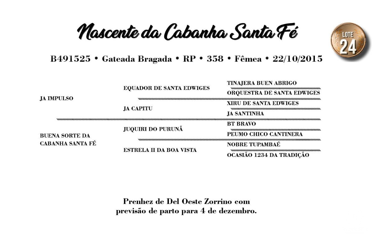 Geração NASCENTE DA CABANHA SANTA FÉ