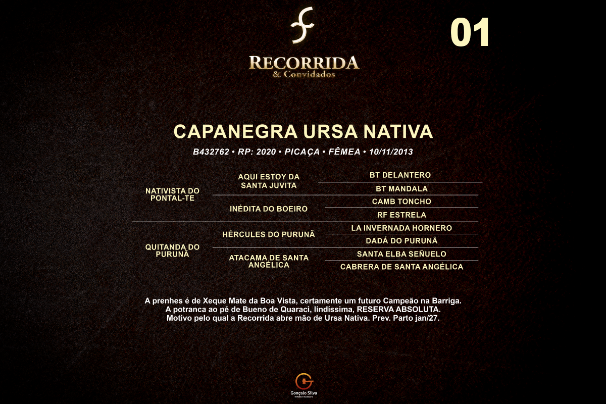 Geração CAPANEGRA URSA NATIVA 