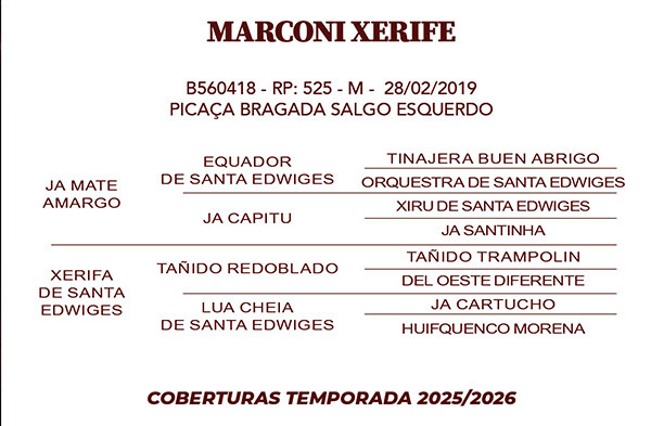 Geração MARCONI XERIFE 