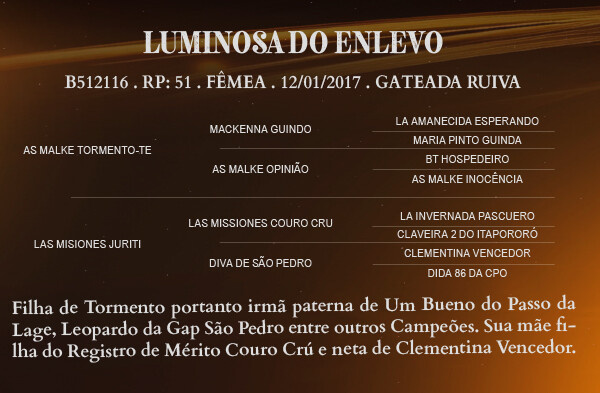 Geração LUMINOSA DO ENLEVO 