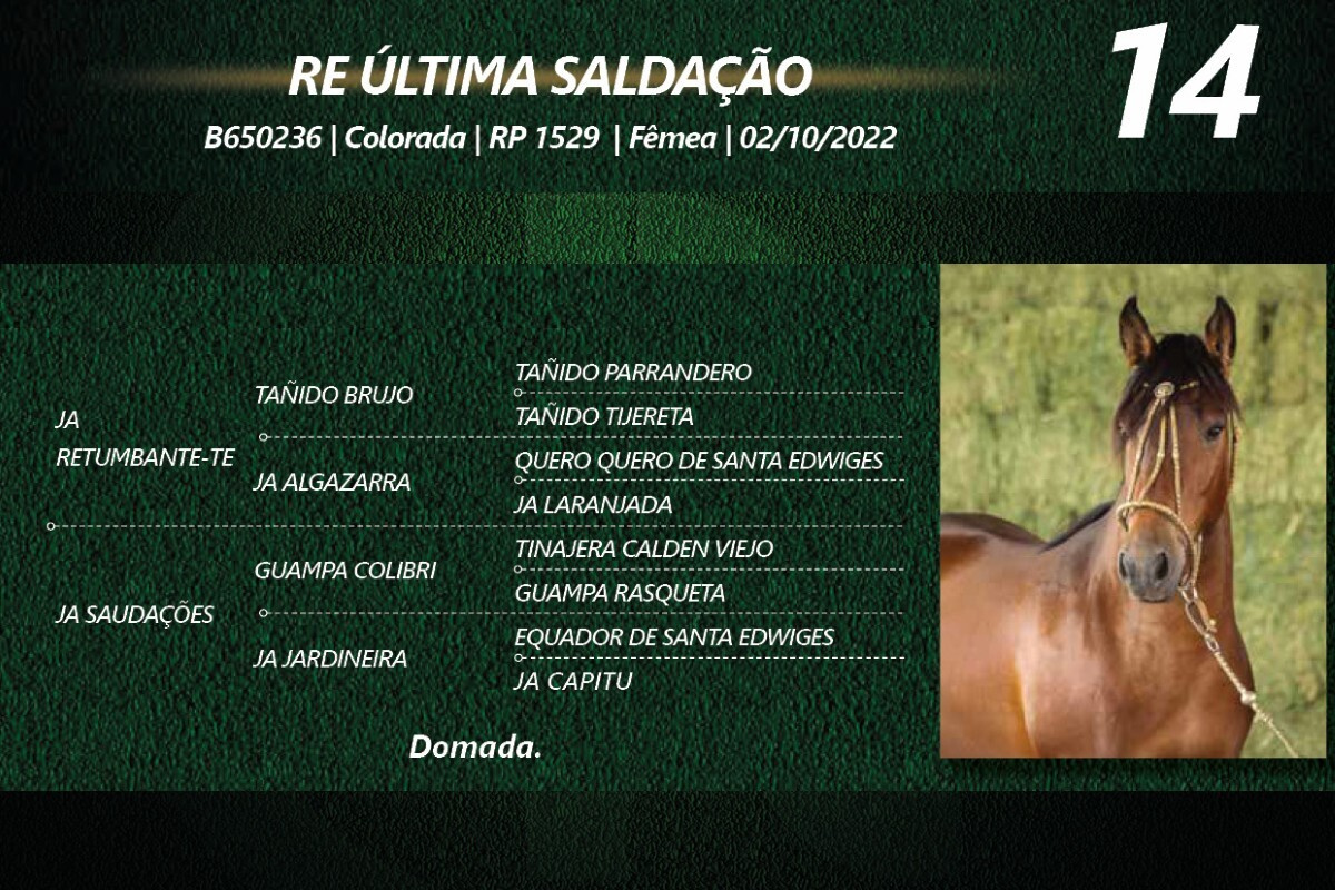 Geração RE ULTIMA SAUDAÇÃO