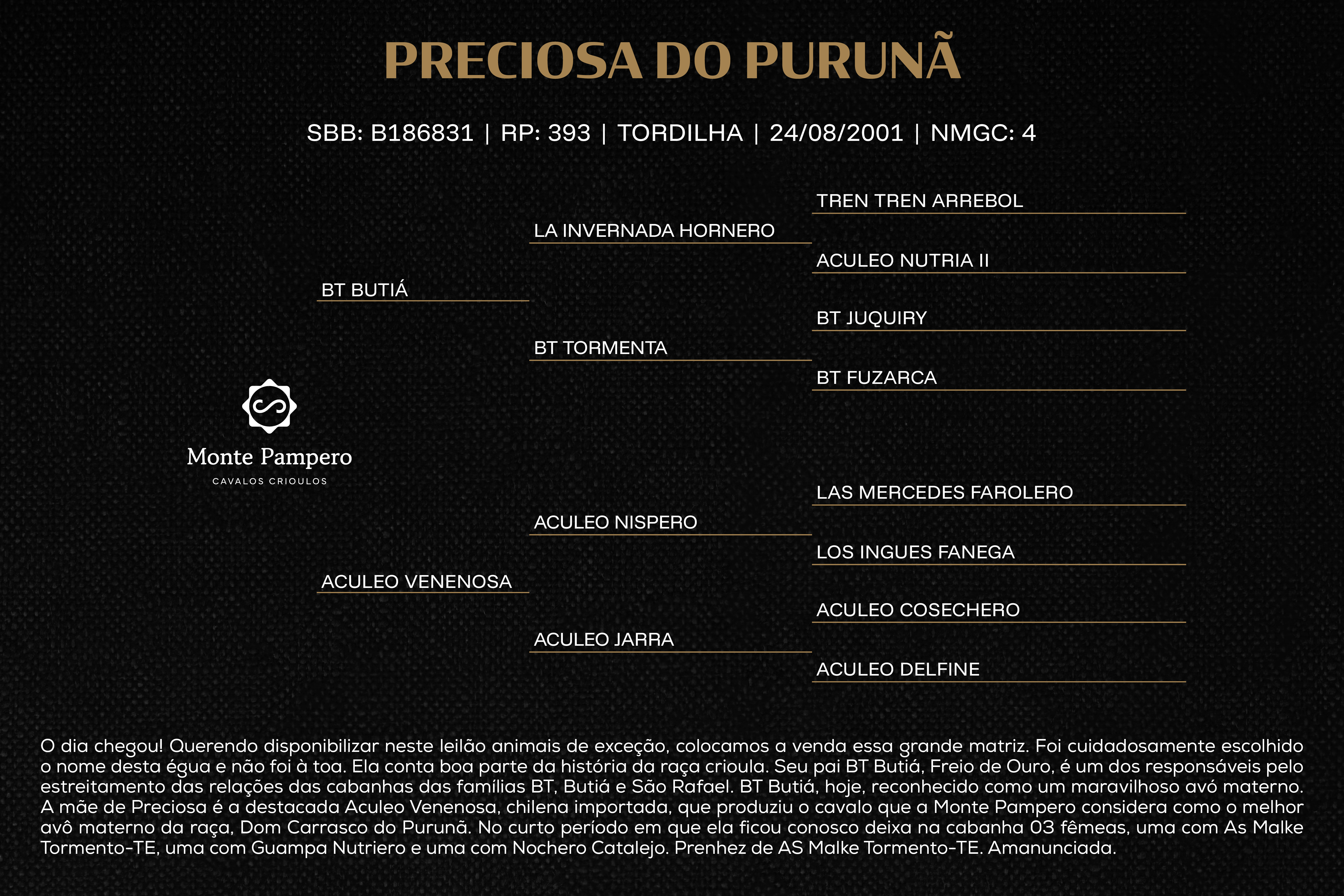 Geração PRECIOSA DO PURUNÃ