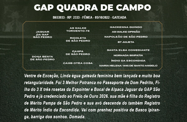 Geração GAP QUADRA DE CAMPO