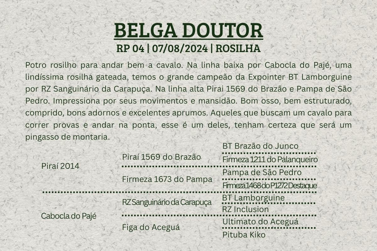 Geração BELGA DOUTOR