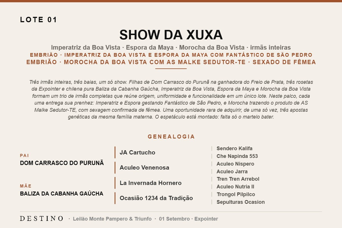 Geração SHOW DA XUXA - Venda vertical (Prenhez)