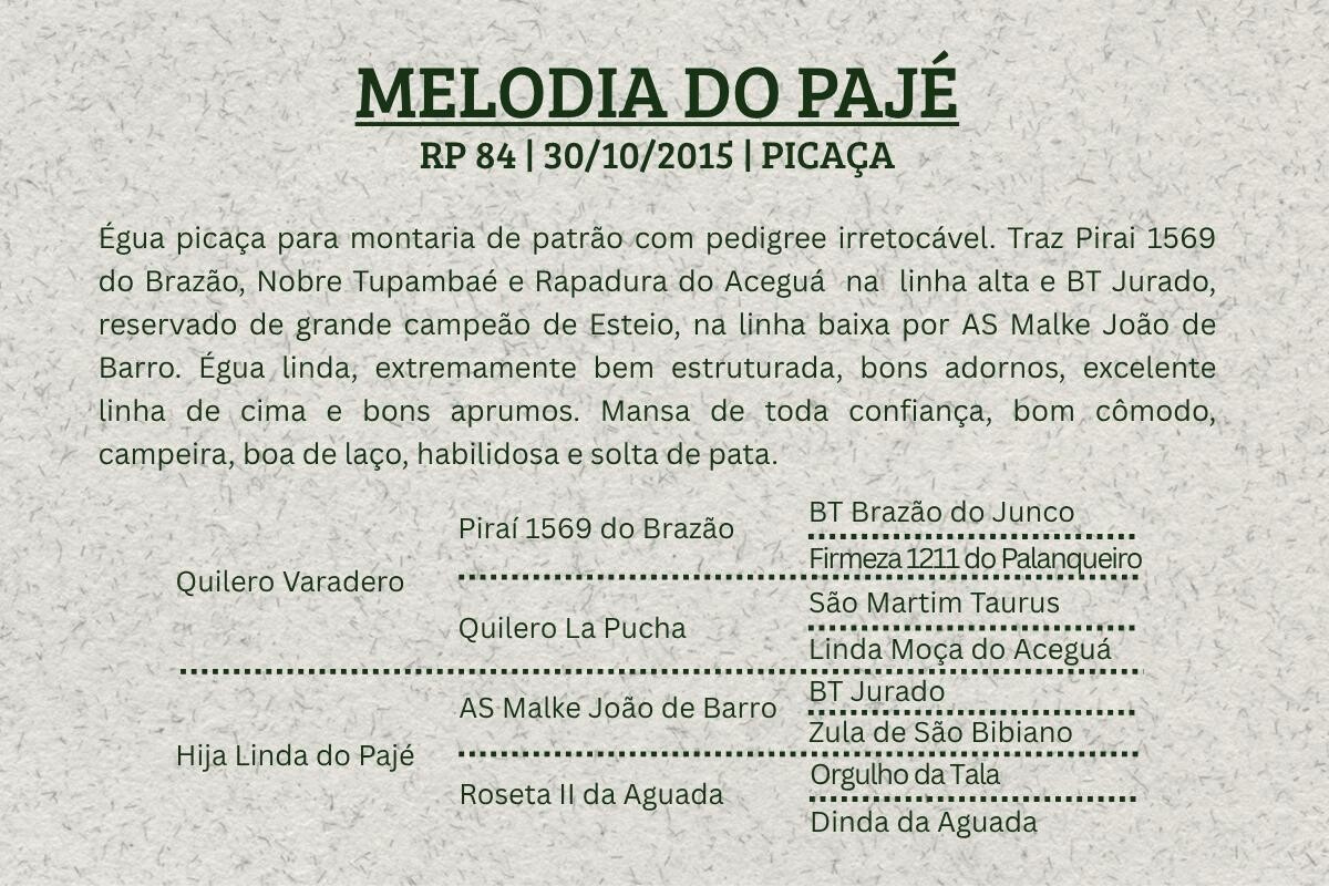 Geração MELODIA DO PAJÉ