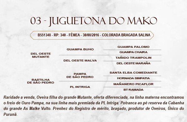 Geração JUGUETONA DO MAKO