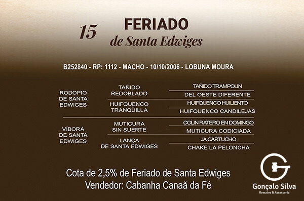 Geração FERIADO DE SANTA EDWIGES - COTA DE 2,5%