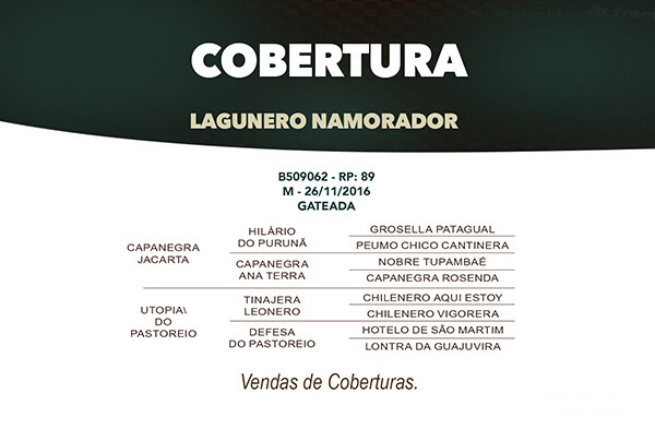 Geração COBERTURAS LAGUNERO NAMORADOR