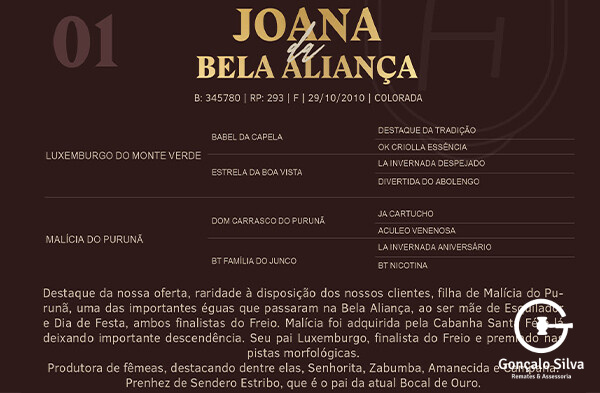 Geração JOANA DA BELA ALINÇA 