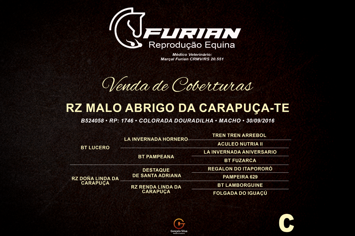 Geração COBERTURA RZ MALO ABRIGO DA CARAPUÇA - TE