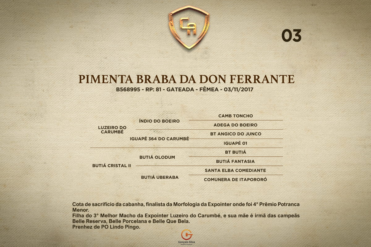 Geração PIMENTA BRABA DA DON FERRANTE