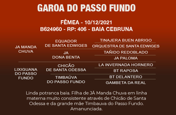 Geração GAROA DO PASSO FUNDO