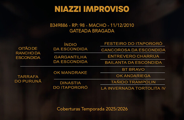 Geração NIAZZI IMPROVISO