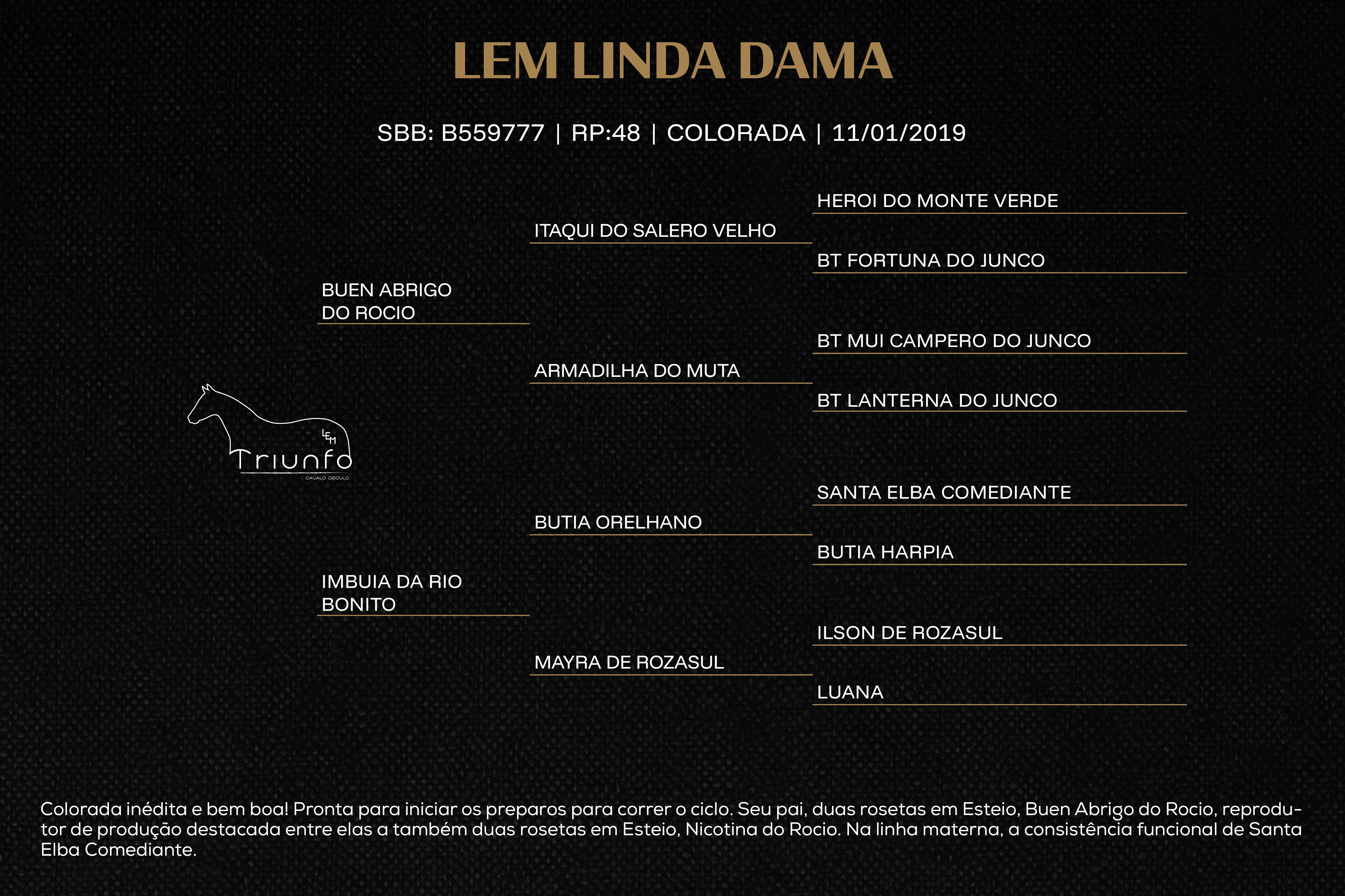 Geração LEM LINDA DAMA