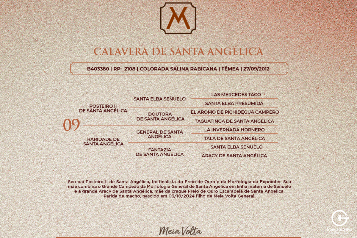 Geração CALAVERA DE SANTA ANGÉLICA