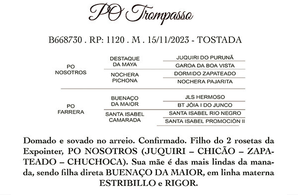 Geração PO TROMPASSO 