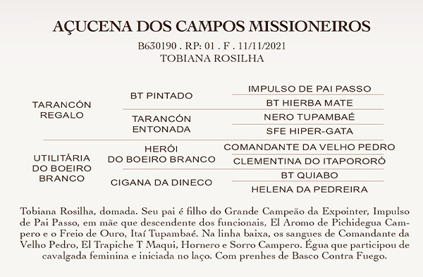Geração AÇUCENA DOS CAMPOS MISSIONEIROS 
