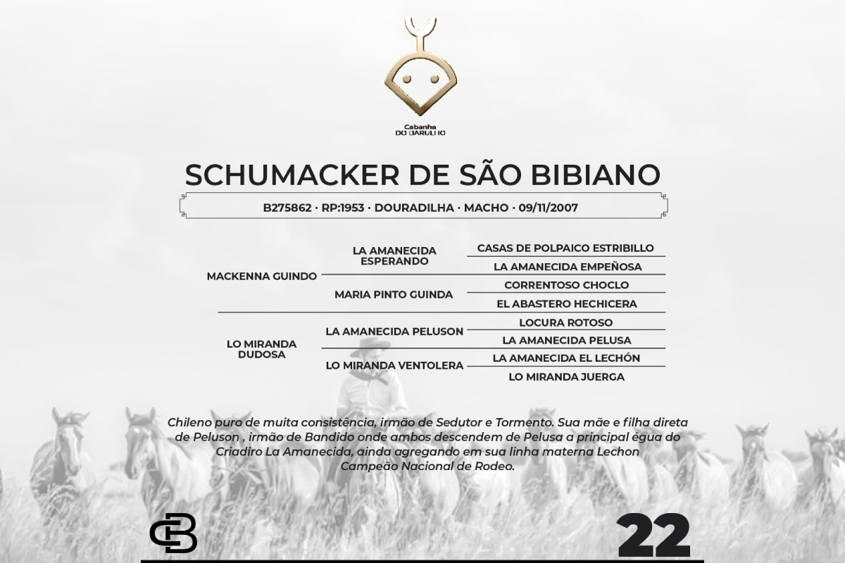 Geração SCHUMACKER DE SÃO BIBIANO