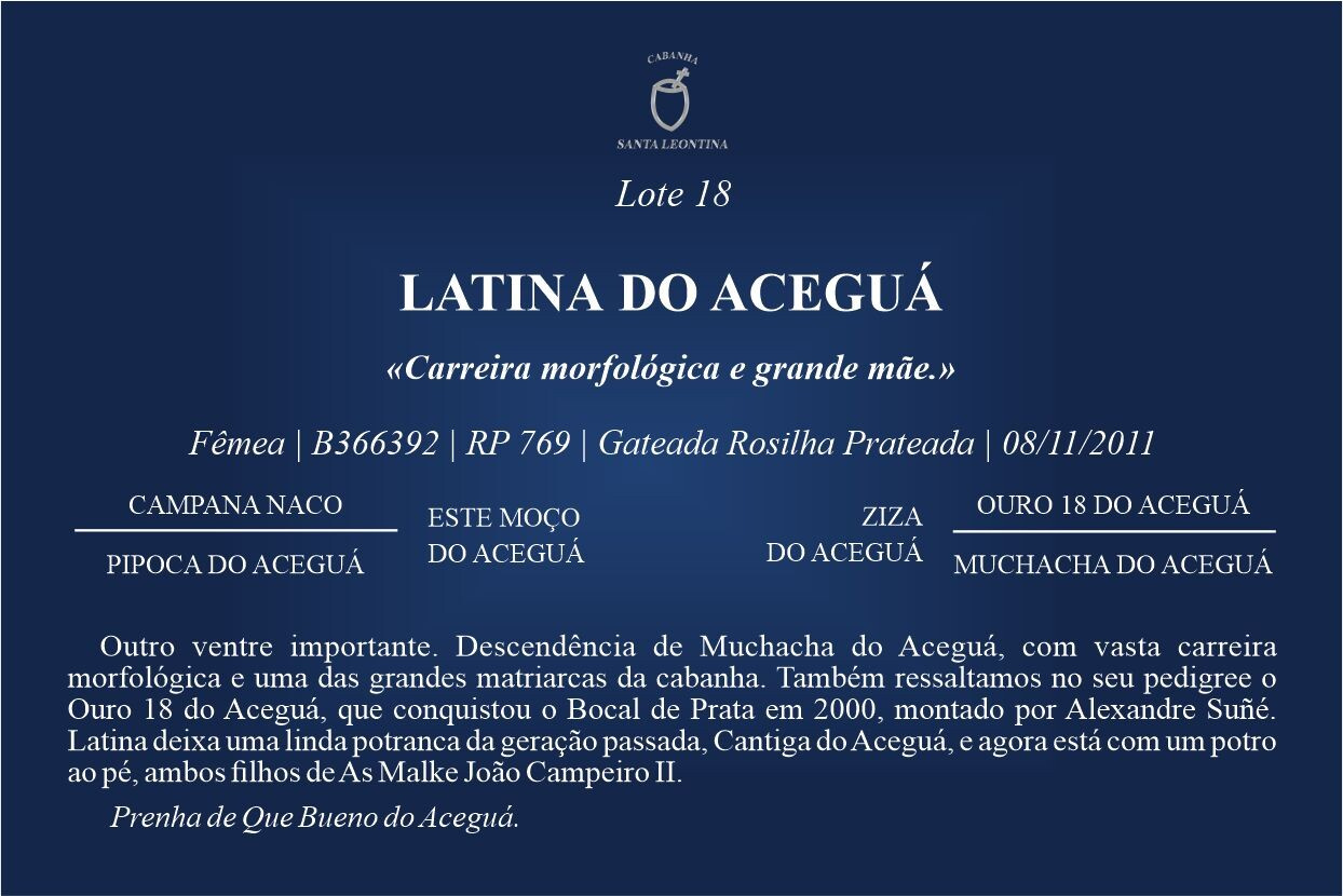 Geração LATINA DO ACEGUÁ