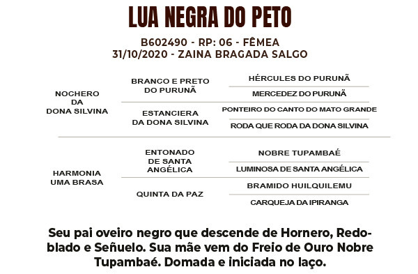 Geração LUA NEGRA DO PETO