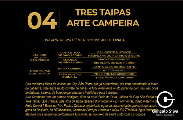 Geração TRÊS TAIPAS ARTE CAMPEIRA