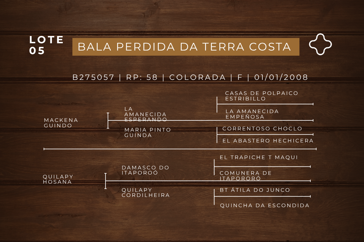 Geração BALA PERDIDA DA TERRA COSTA