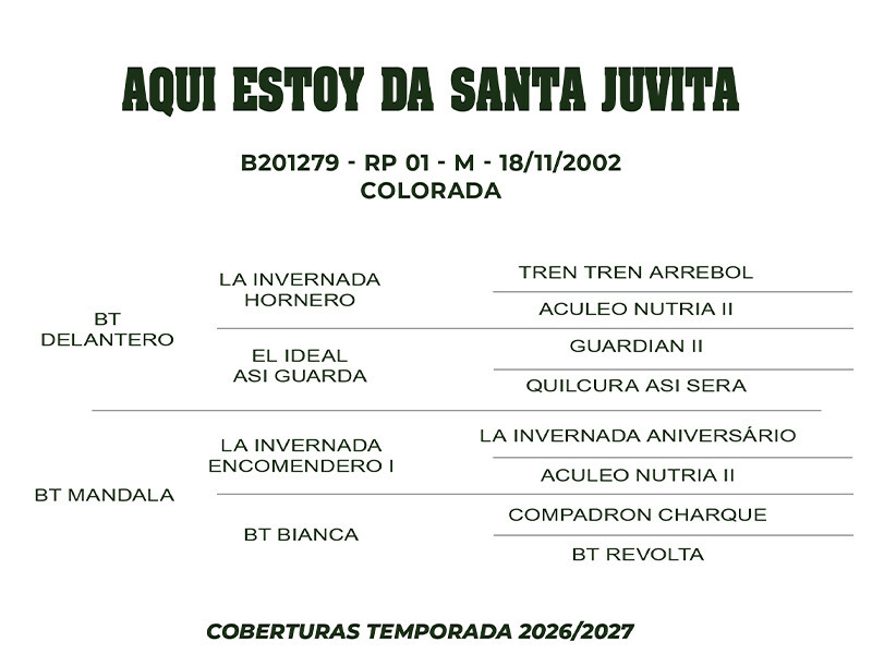 Geração COBERTURA AQUI ESTOY DE SANTA JUVITA 