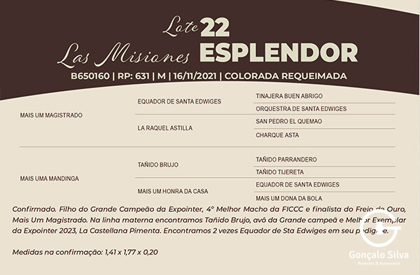 Geração LAS MISIONES ESPLENDOR 