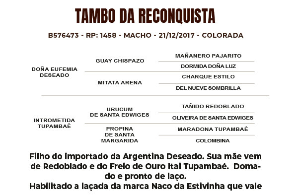 Geração TAMBO DA RECONQUISTA