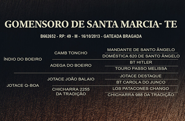 Geração GOMENSORO DE SANTA MARCIA-TE