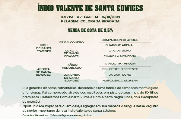 Geração COTA 2,5% INDIO VALENTE DE SANTA EDWIGES 