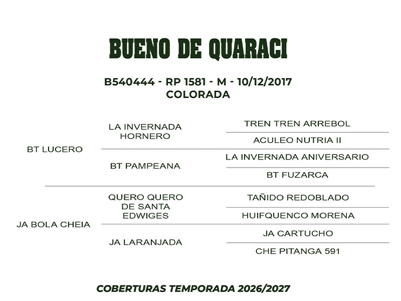 Geração COBERTURA BUENO DE QUARACI