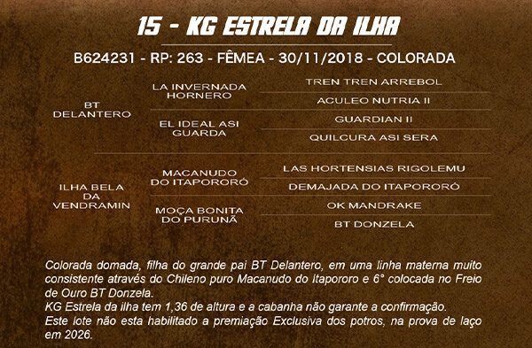 Geração KG ESTRELA DA ILHA