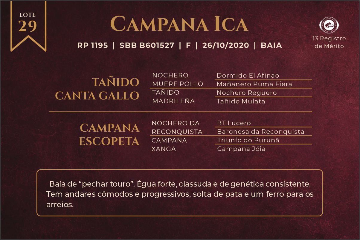 Geração CAMPANA ICA