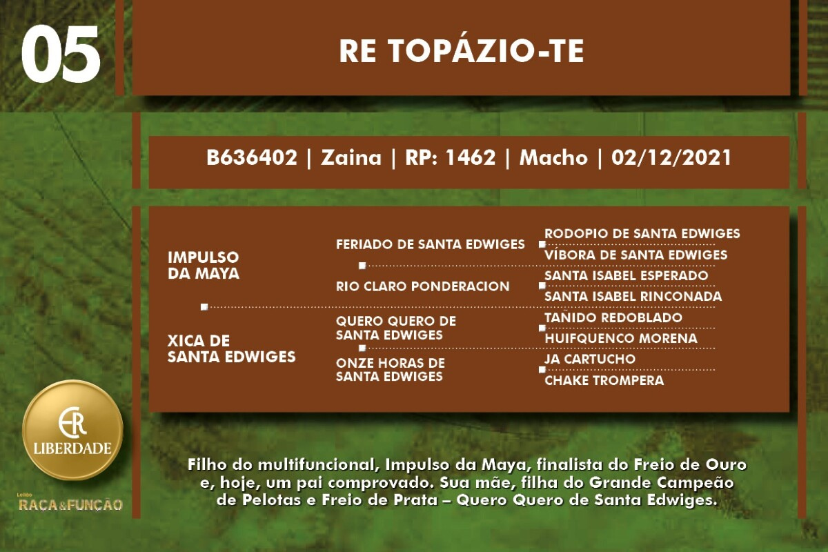 Geração RE TOPÁZIO-TE