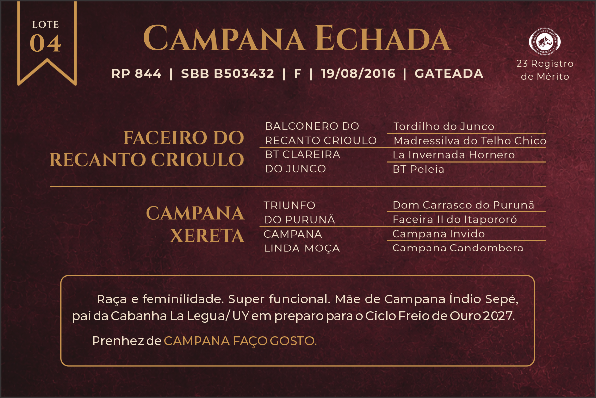 Geração CAMPANA ECHADA