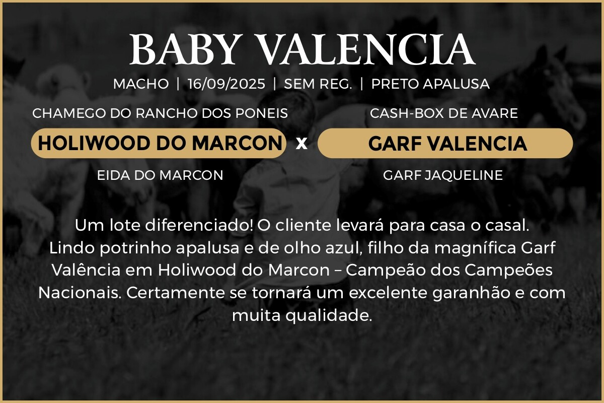 Geração BABY VALENCIA 