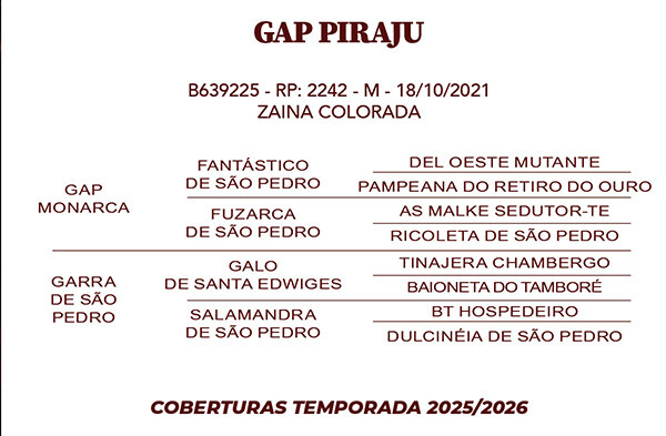 Geração GAP PIRAJU