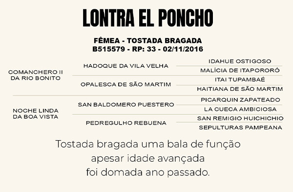 Geração LONTRA EL PONCHO