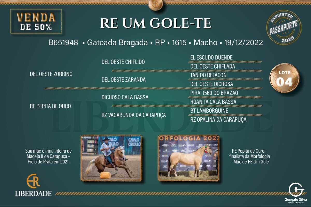Geração  RE UM GOLE-TE (Venda de 50%)