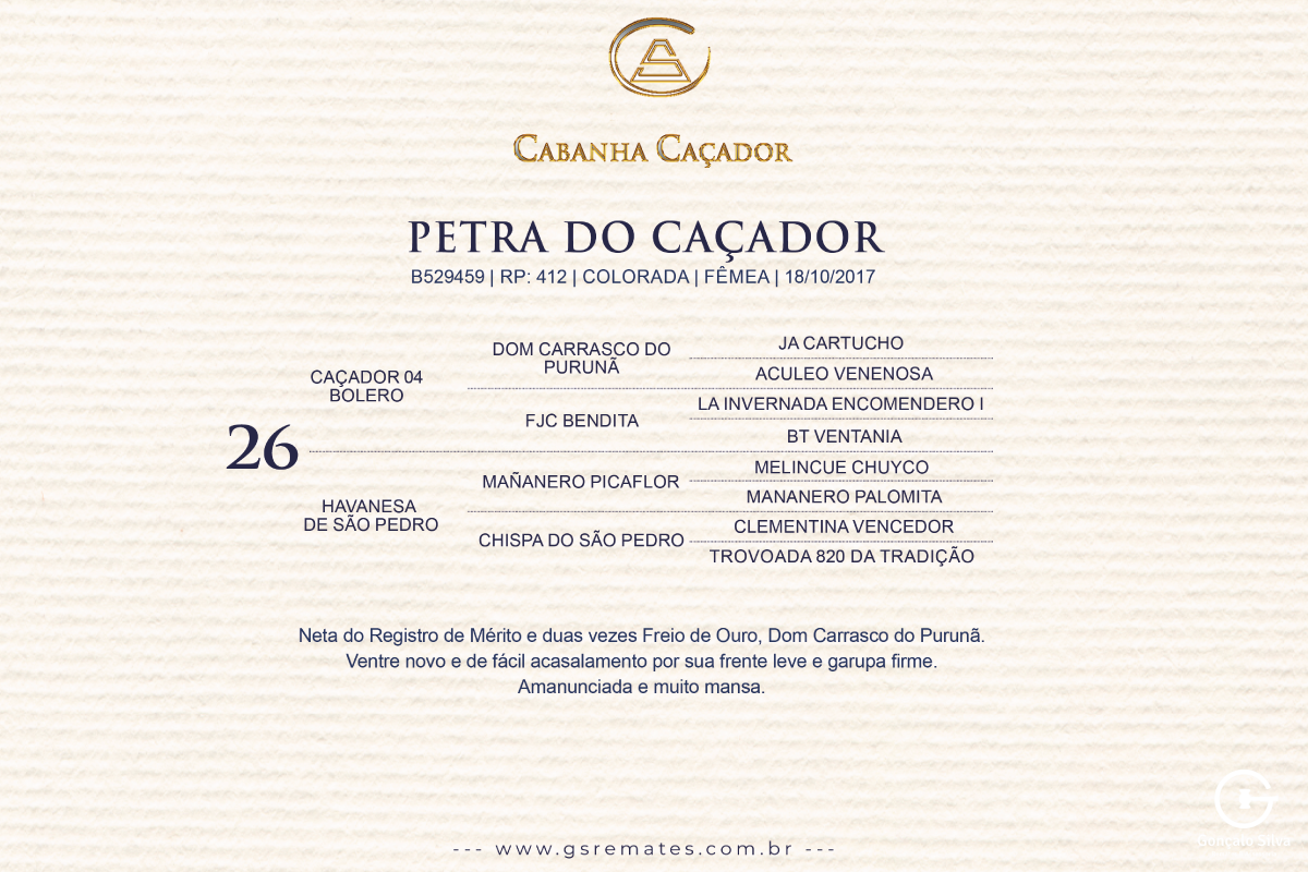 Geração PETRA DO CAÇADOR 