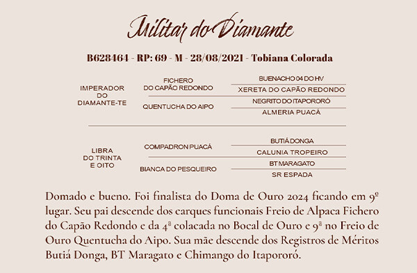 Geração MILITAR DA DIAMANTE