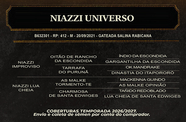 Geração NIAZZI UNIVERSO 
