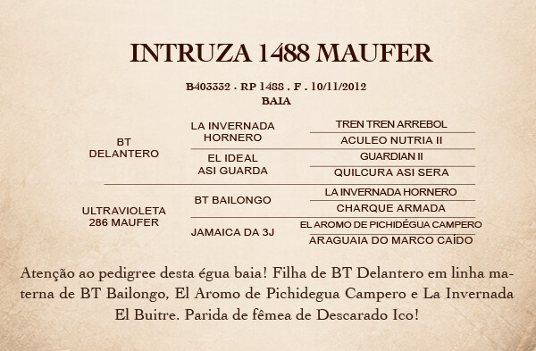 Geração INTRUZA 1488 MAUFER