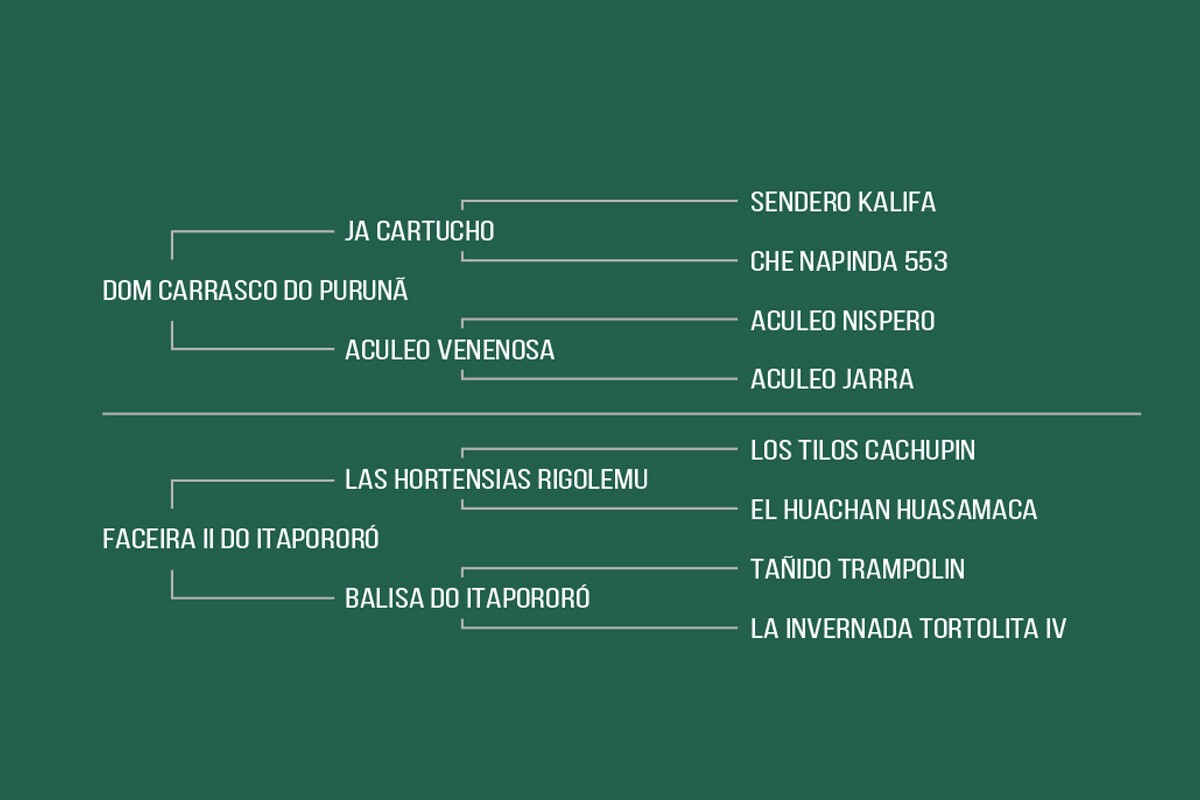 Geração UTOPIA DO PURUNÃ-TE