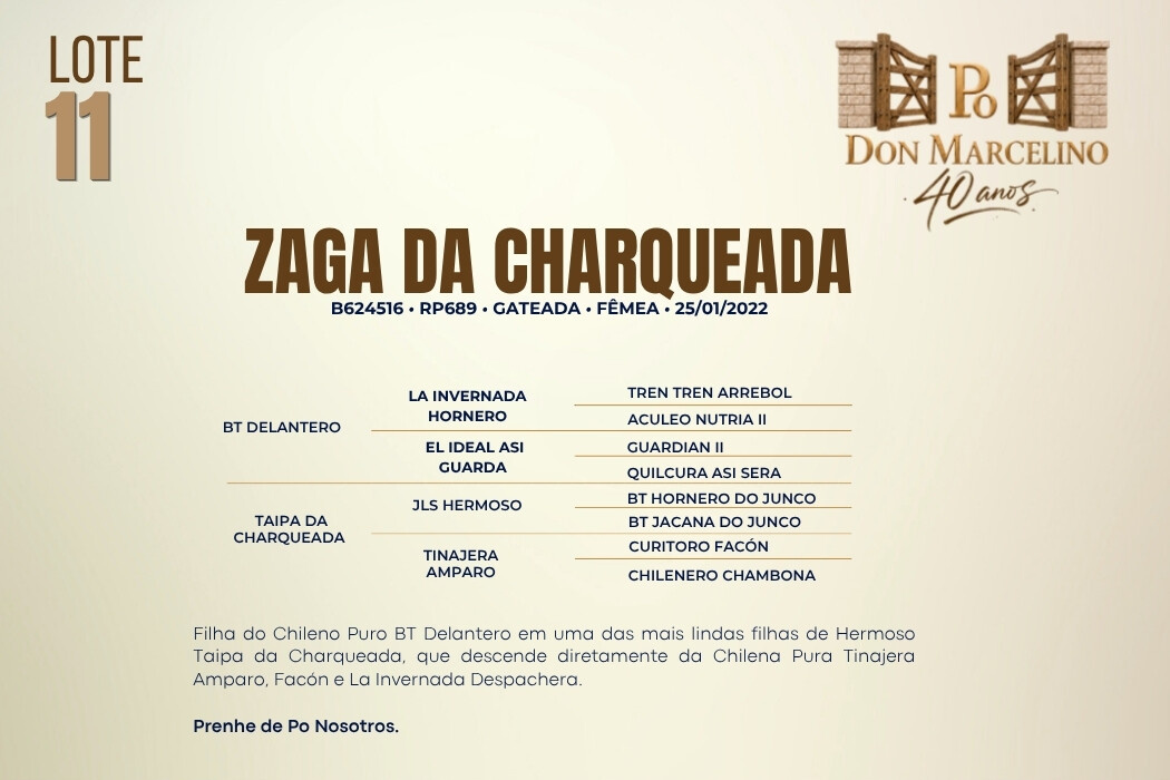 Geração ZAGA DA CHARQUEADA
