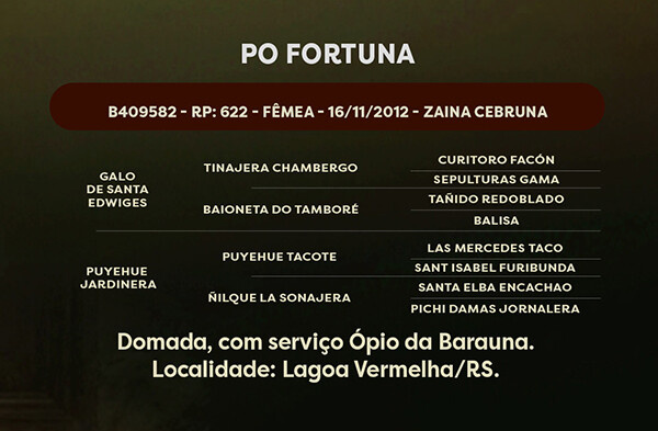 Geração PO FORTUNA