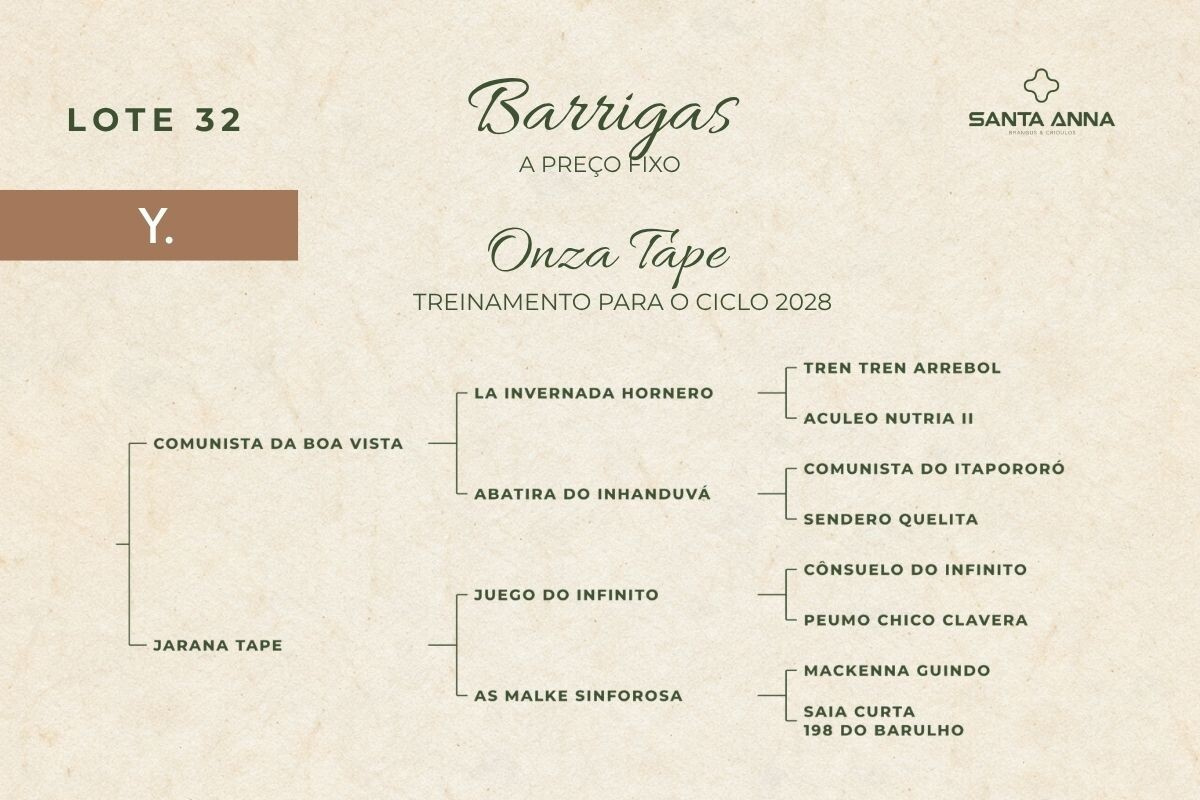 Geração ONZA TAPE